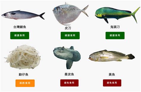台灣魚排名